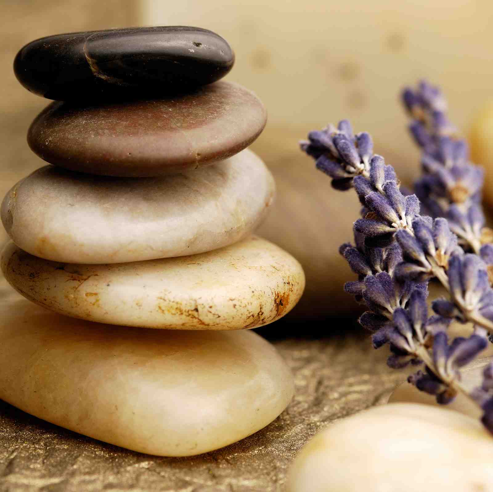 Zen Stone & Lavender Still Life Wall Art