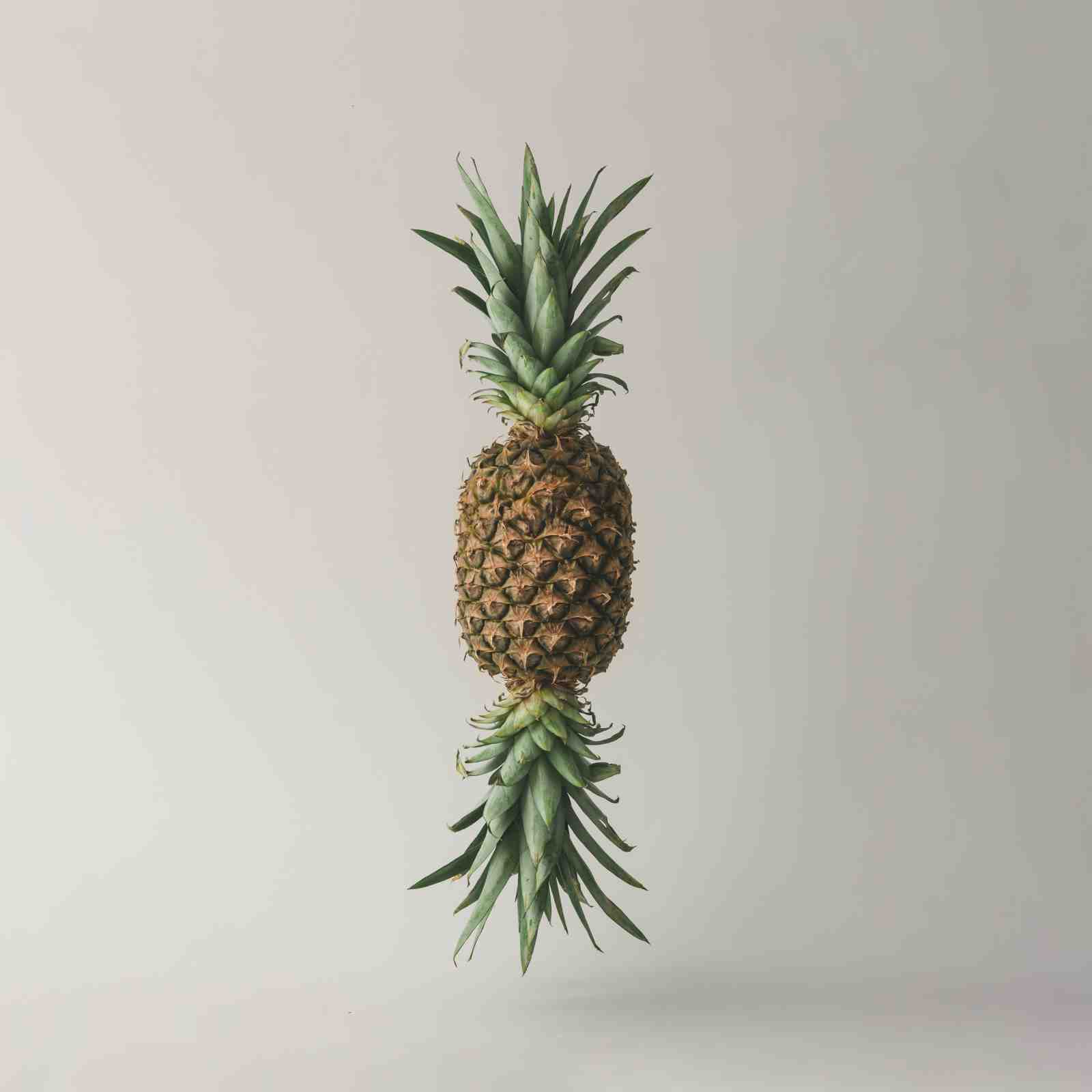 Surreal Pineapple Duo Wall Art