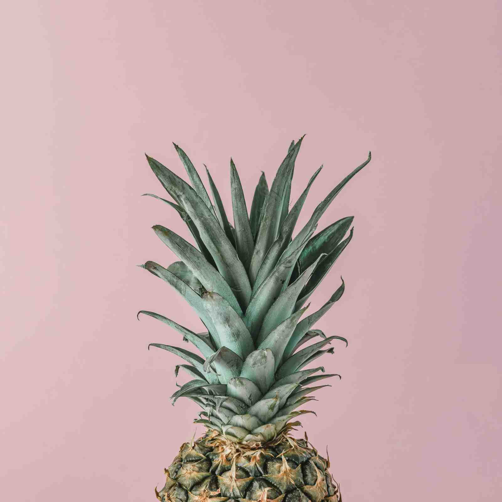 Minimalist Teal Pineapple Tropical Wall Art