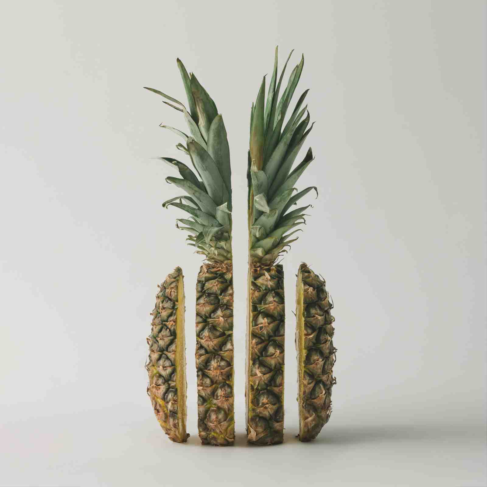 Abstract Pineapple Slices Wall Art