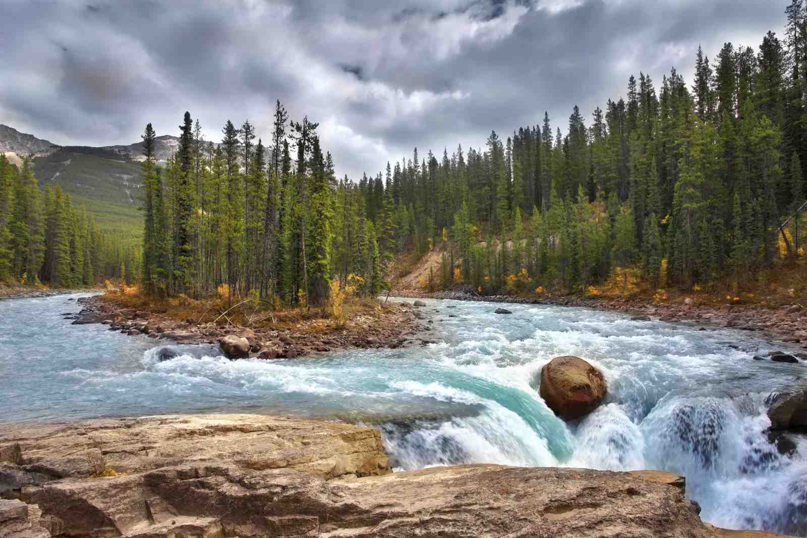 Serene Waterfall Forest Landscape Wall Art