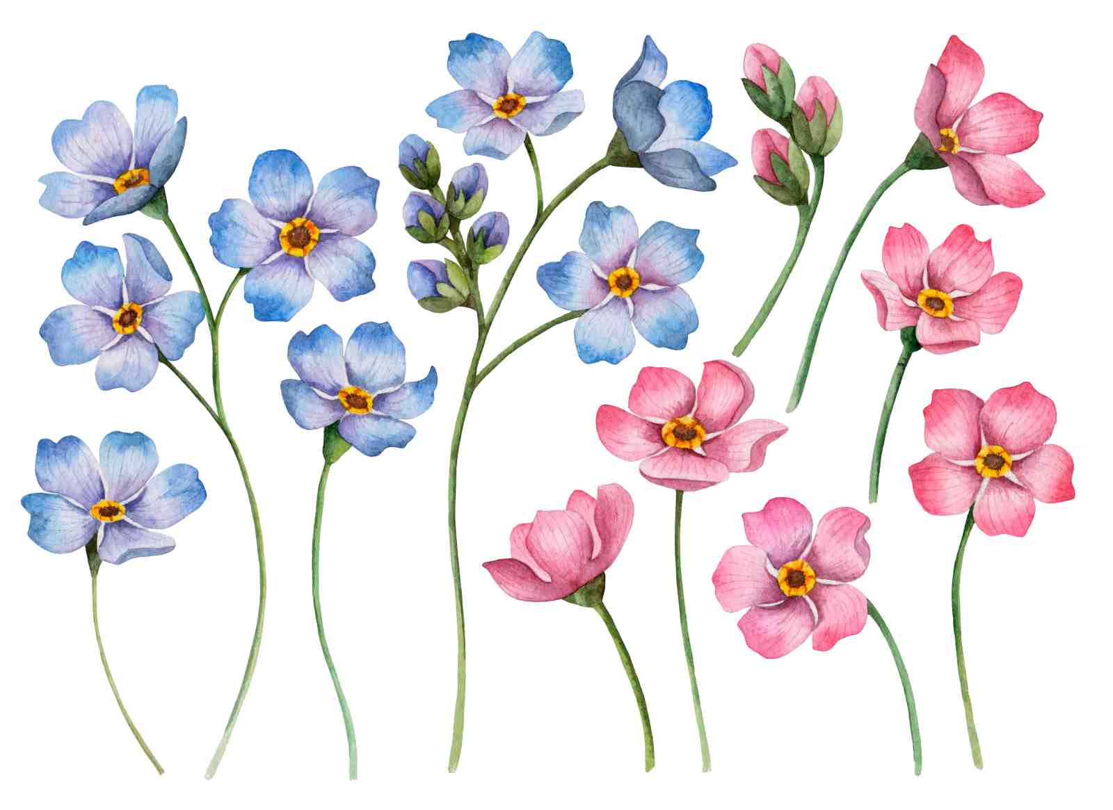 Delicate Watercolor Floral Forget-Me-Not Wall Art