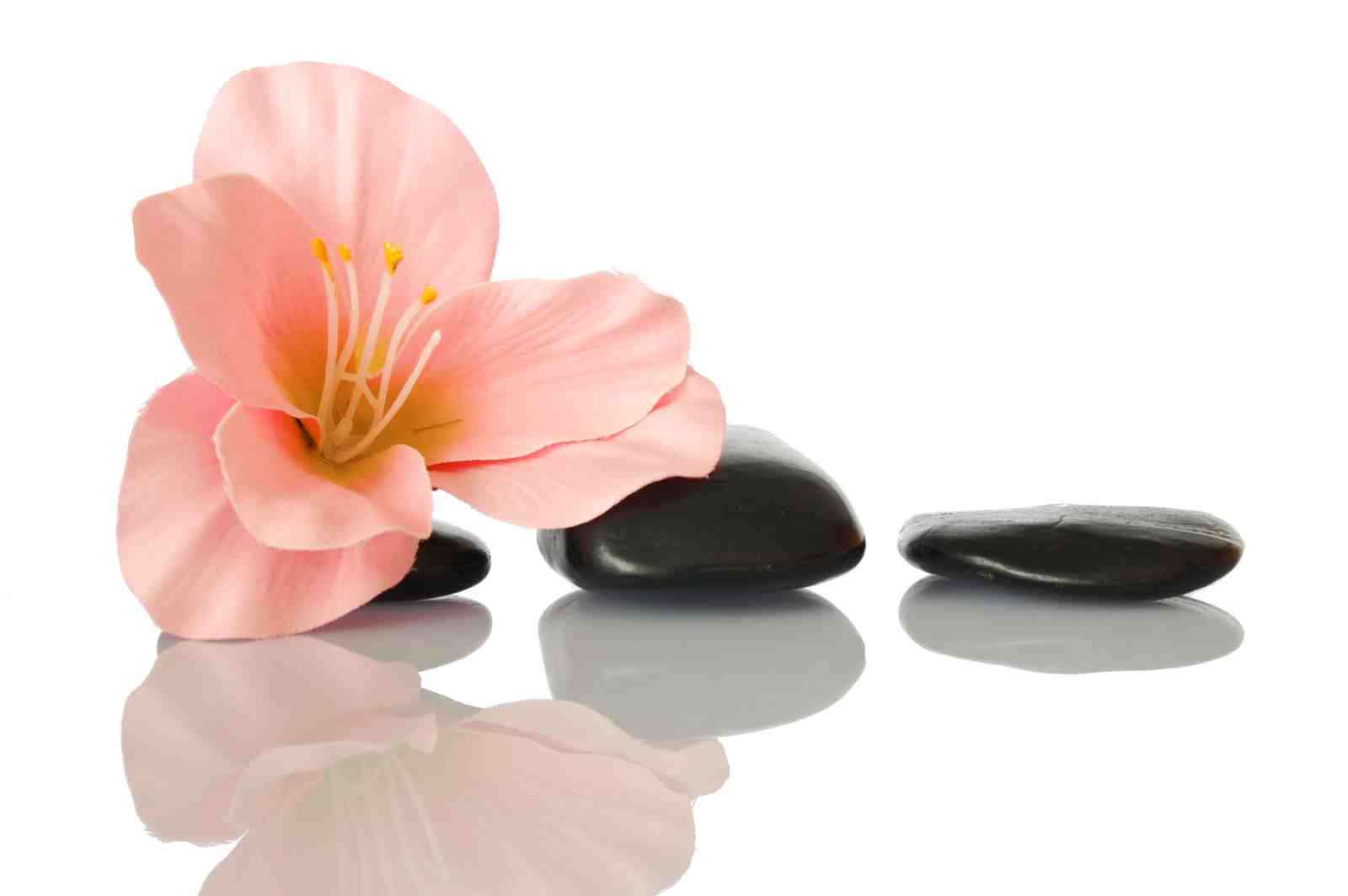Serene Pink Lily & Zen Stones Wall Art