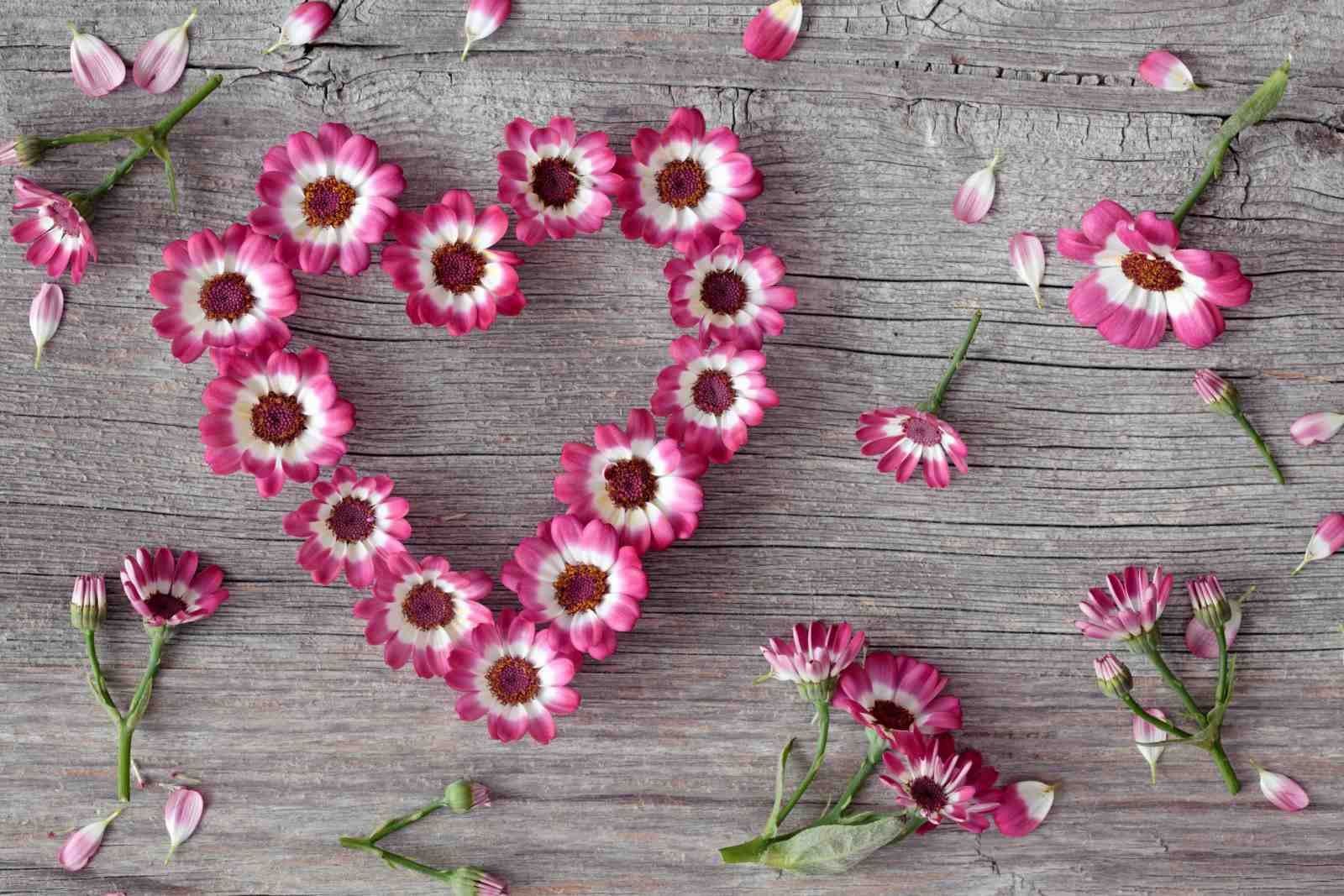 Pink Daisy Heart Floral Wood Wall Art