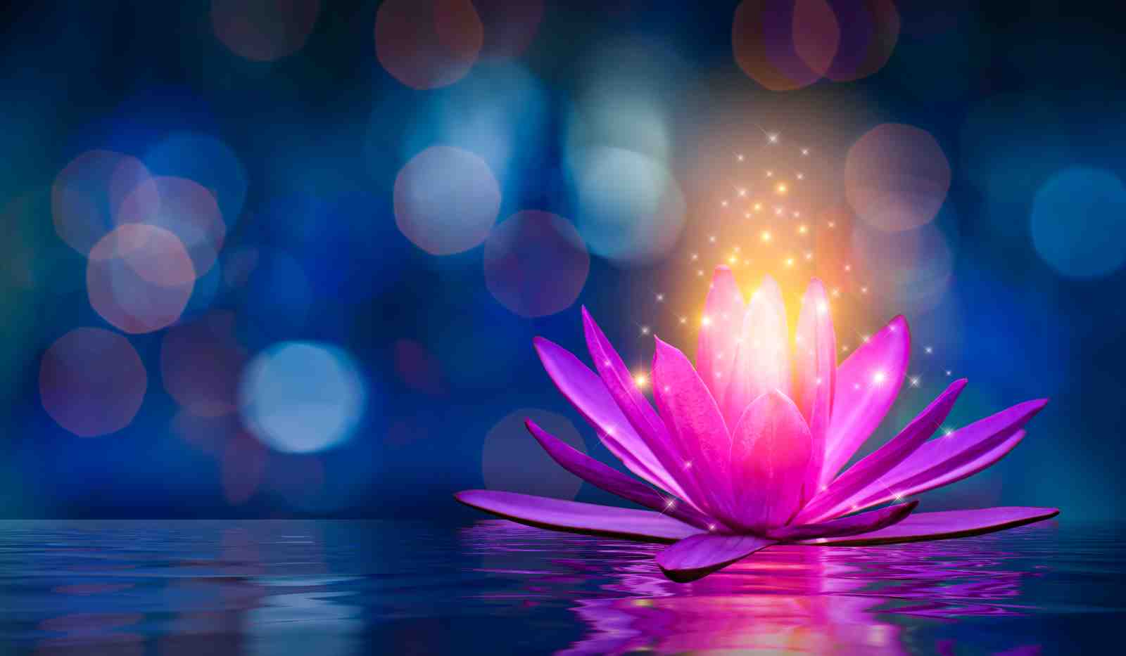 Radiant Lotus Serenity Wall Art