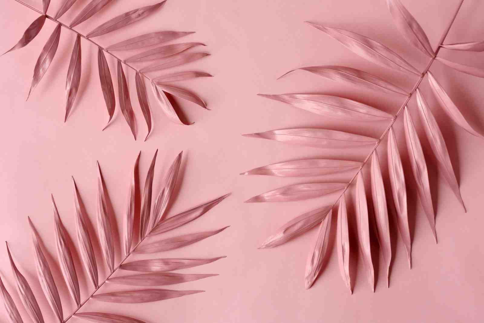 Blush Palm Fronds Modern Botanical Wall Art