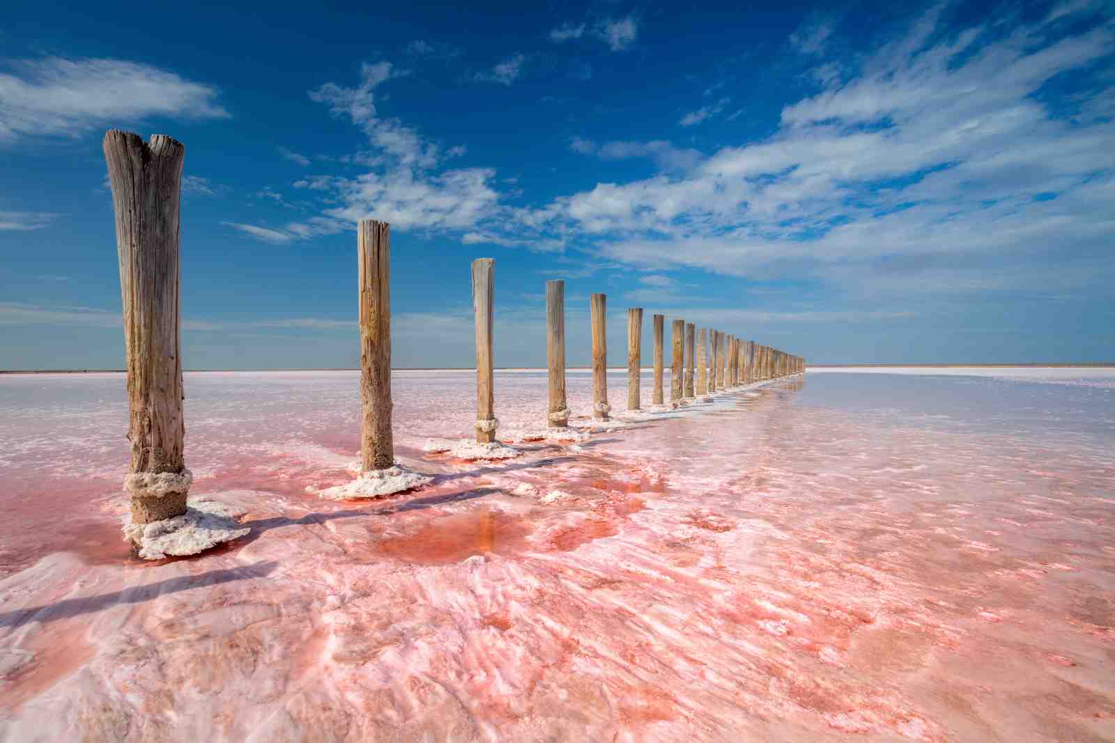 Serene Pink Salt Lake Wooden Posts Wall Art