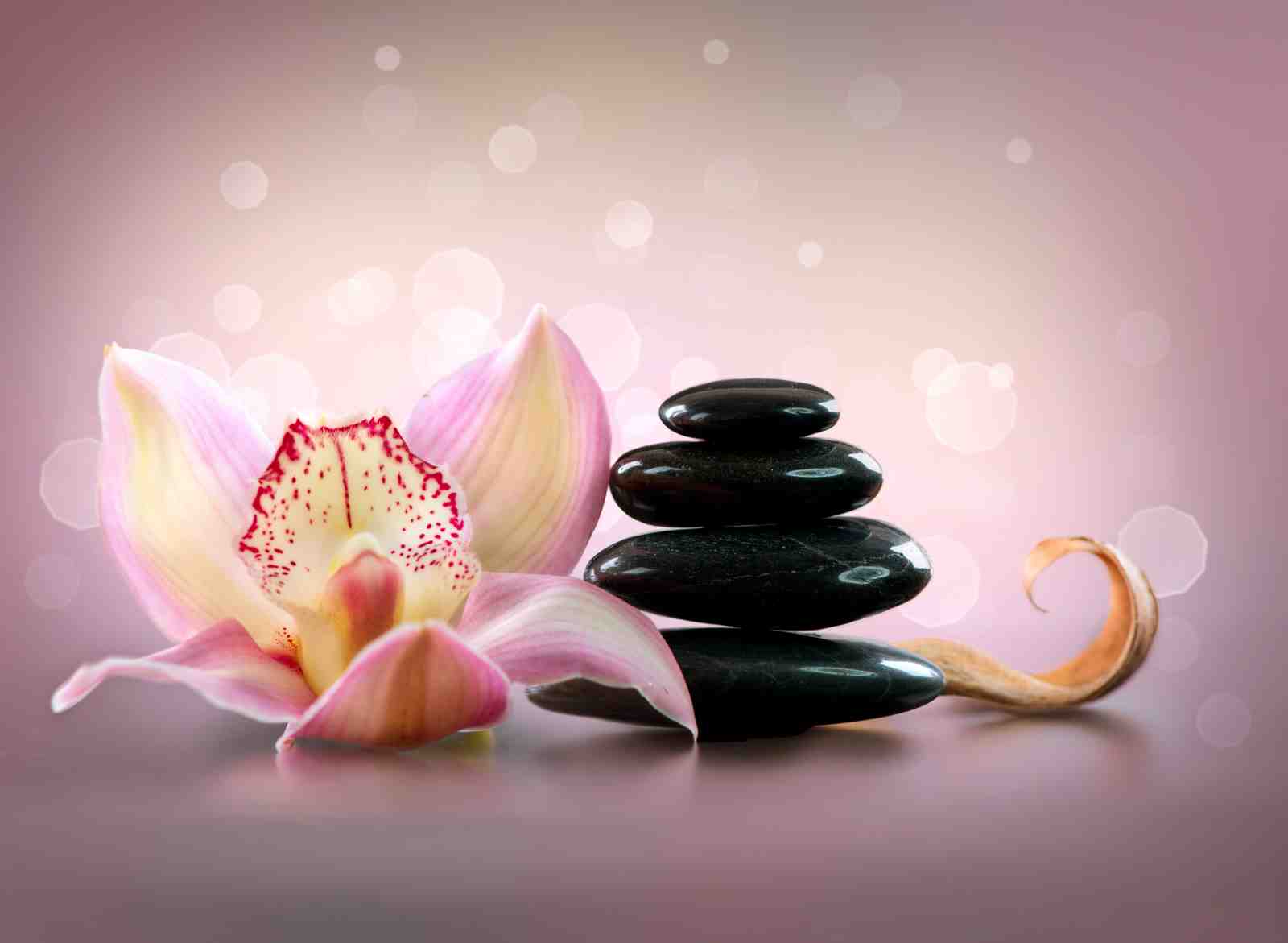 Tranquil Orchid & Zen Stones Wall Art
