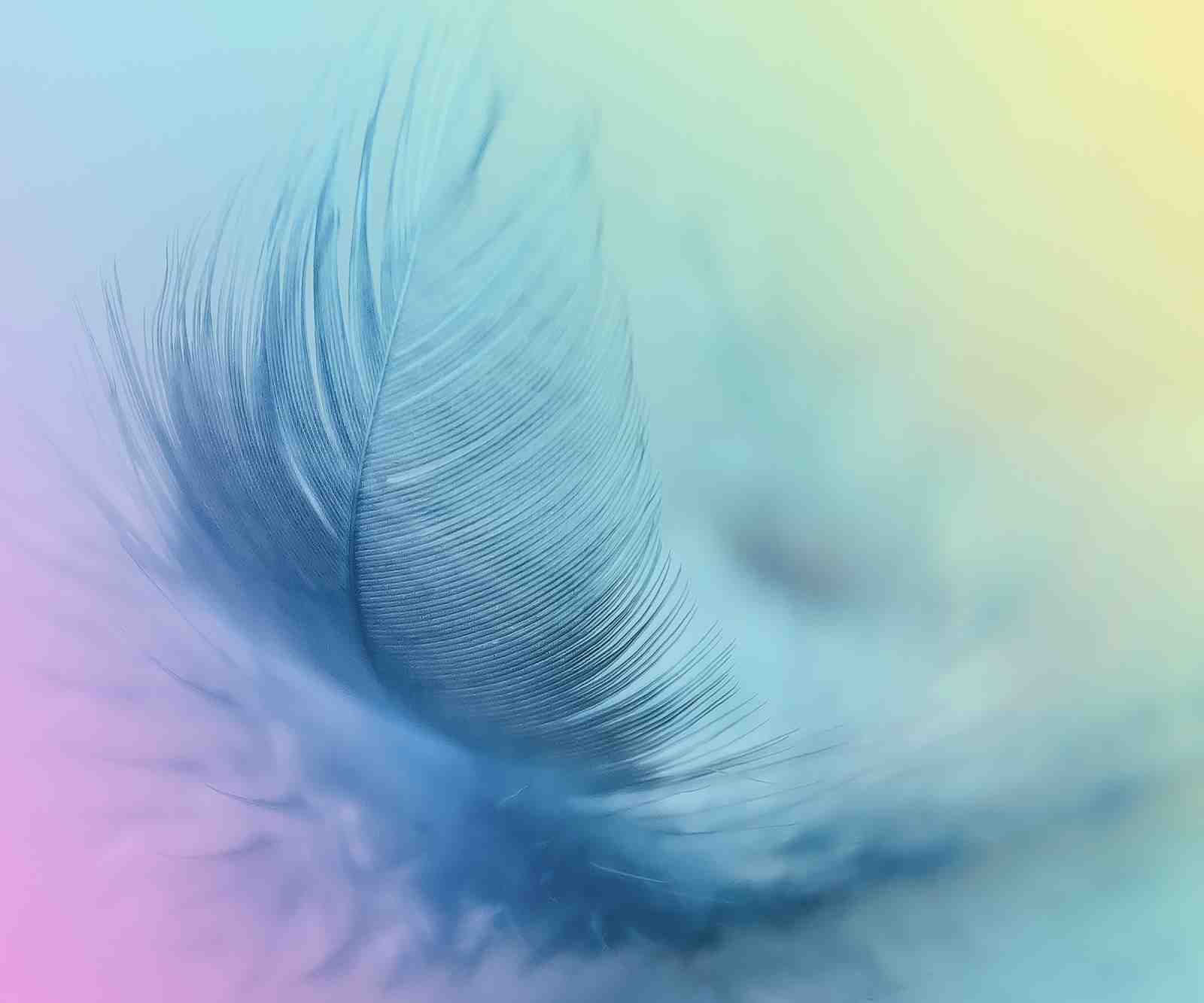 Serene Blue Feather Gradient Wall Art