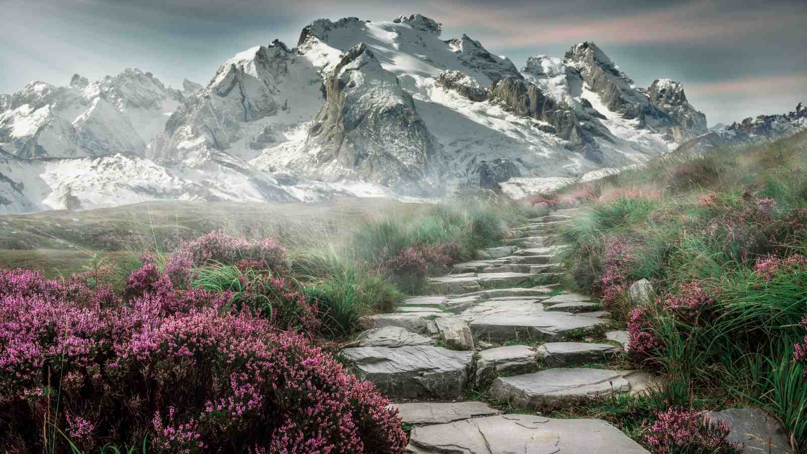 Majestic Mountain Trail Heather Wall Art