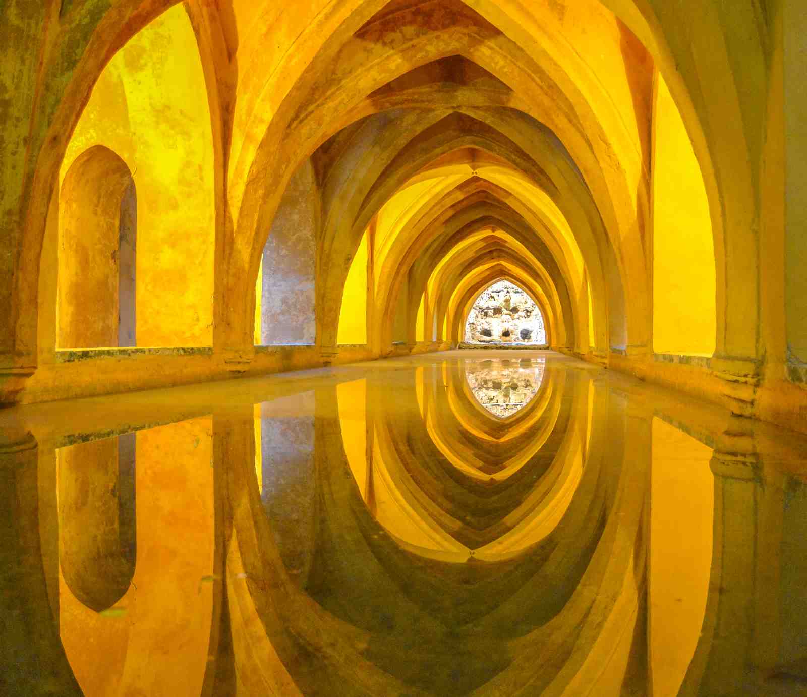 Golden Arches & Reflections Wall Art