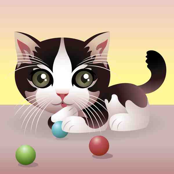 Cute Tuxedo Kitten Playing Wall Art