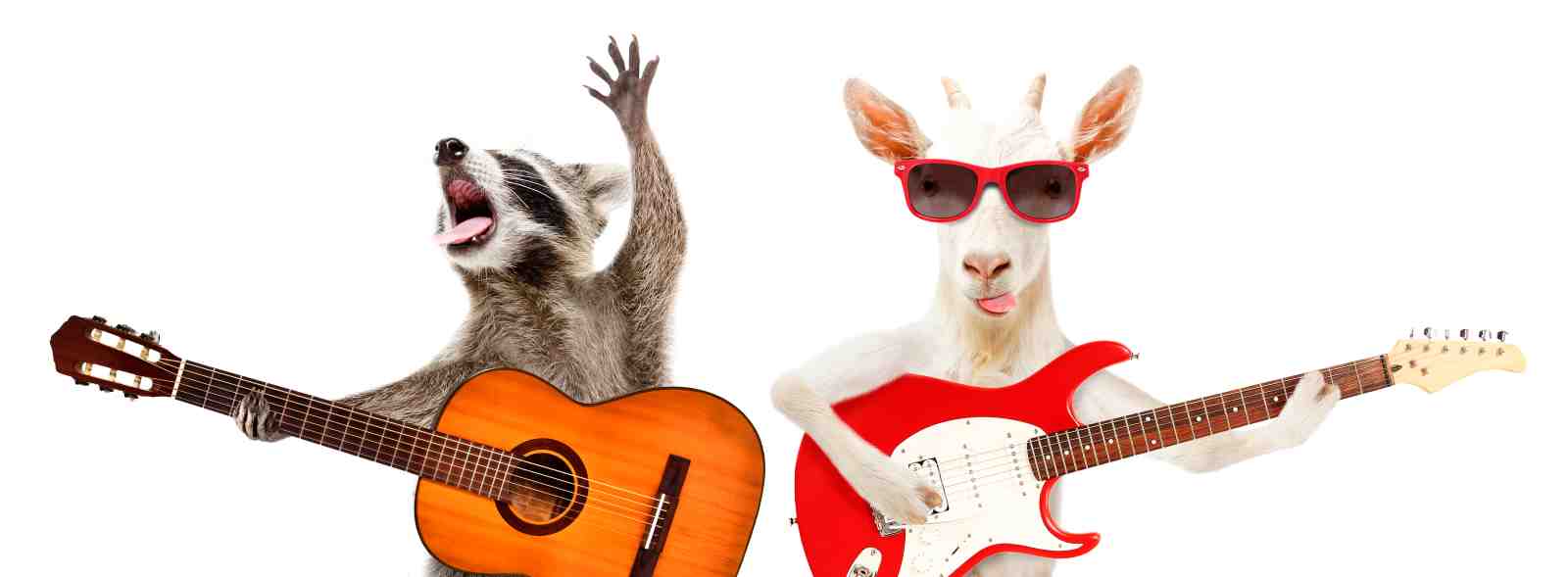 Rockstar Raccoon & Goat Band Wall Art