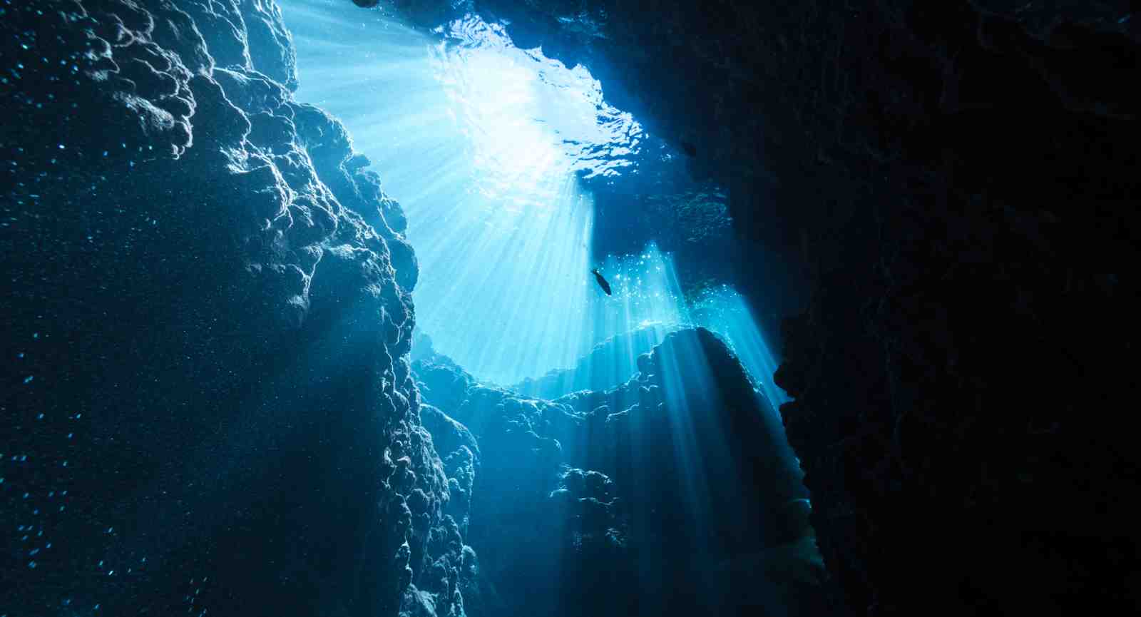 Underwater Canyon Sunbeams Wall Art