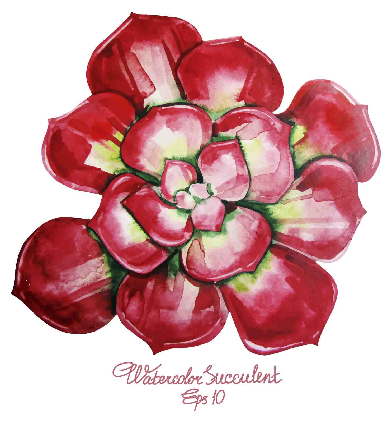 Vibrant Red Succulent Watercolor Wall Art