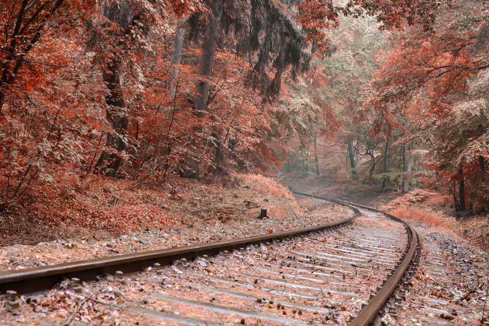 Autumn Train Tracks Wall Art