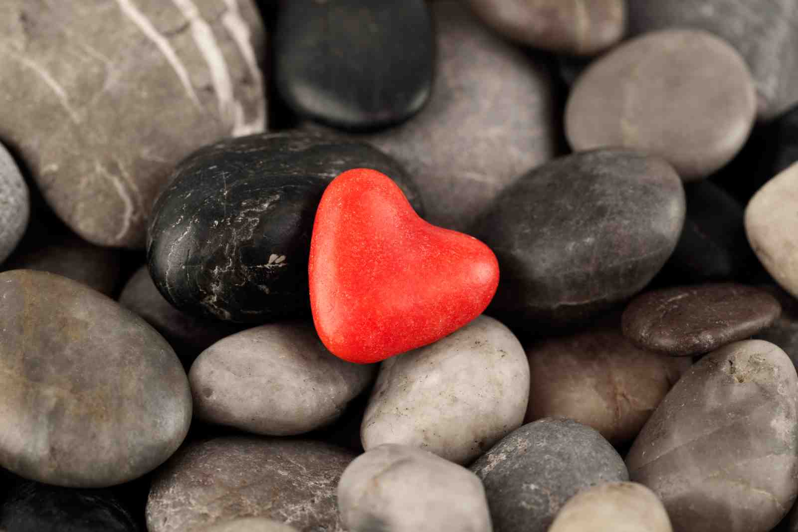 Vibrant Heart Serenity Zen Garden Wall Art