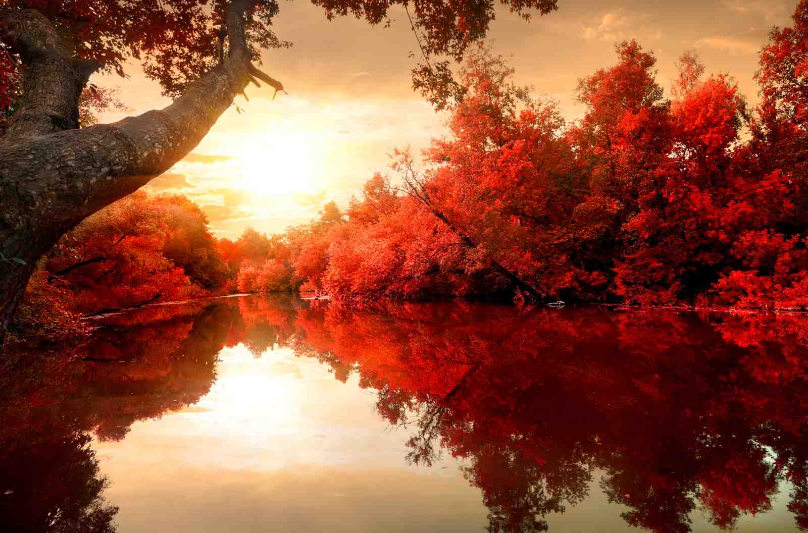 Fiery Autumn River Sunset Wall Art