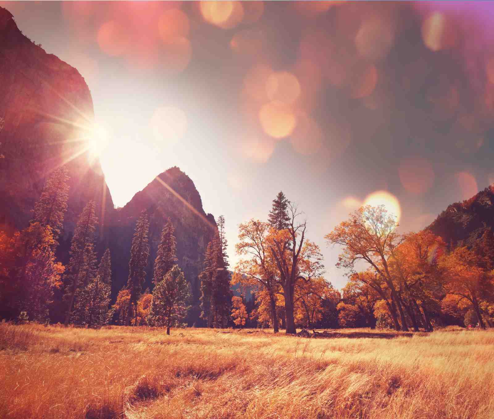 Golden Yosemite Autumn Landscape Wall Art