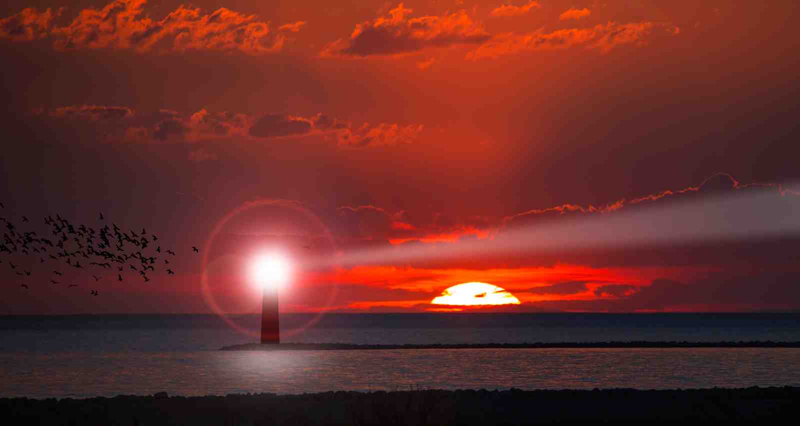 Lighthouse Sunset Bird Flock Wall Art
