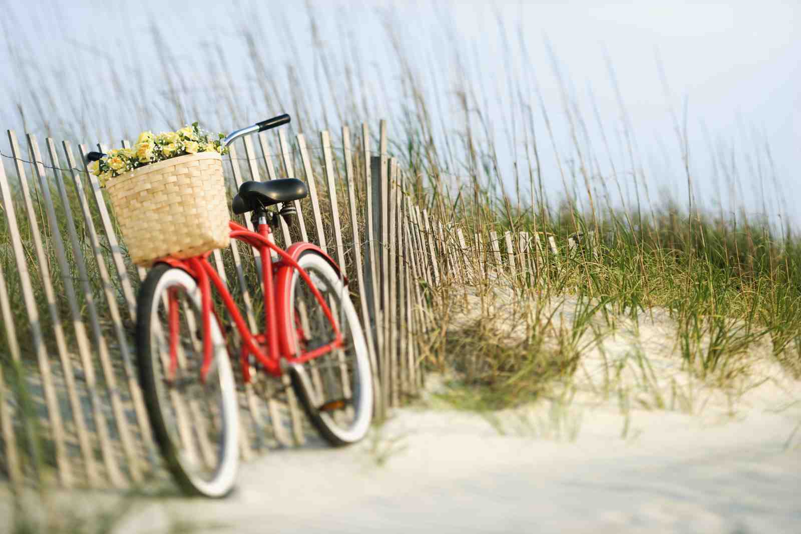 Coastal Charm Bicycle Beach Wall Art