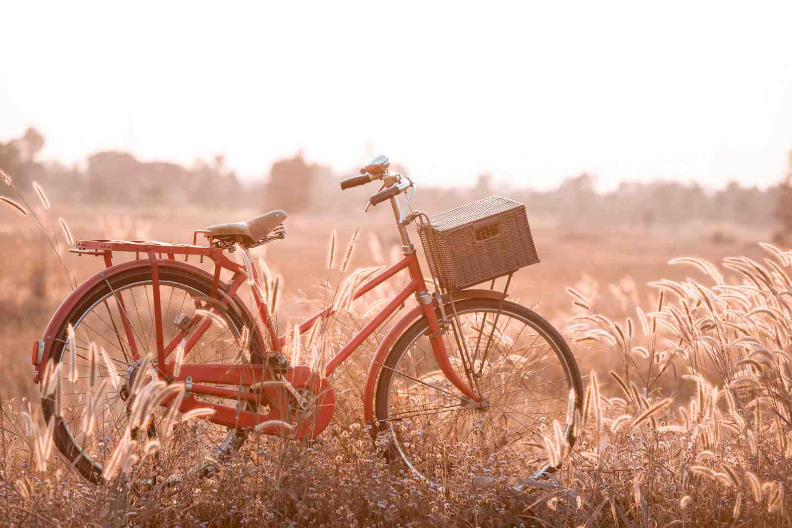 Vintage Red Bicycle Field Wall Art