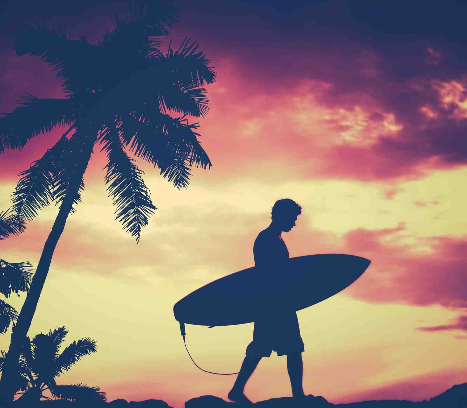 Sunset Surfer Palm Tree Wall Art