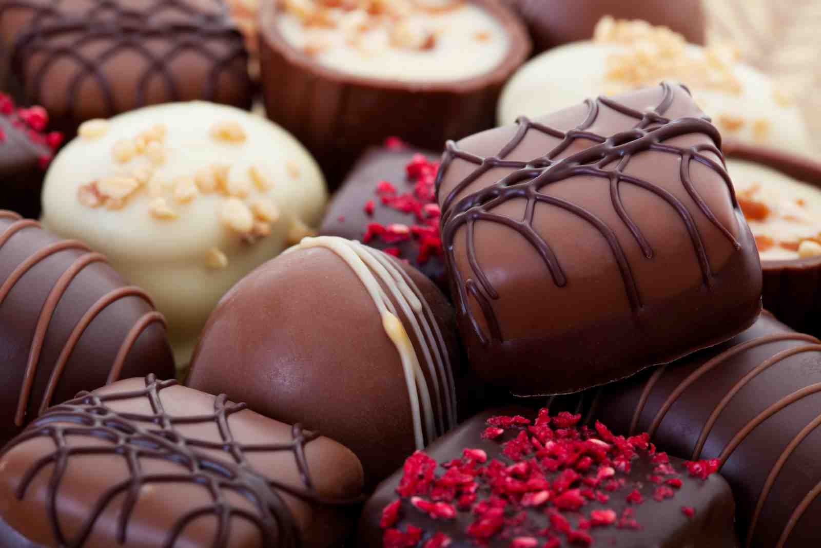 Decadent Chocolate Assortment Wall Art