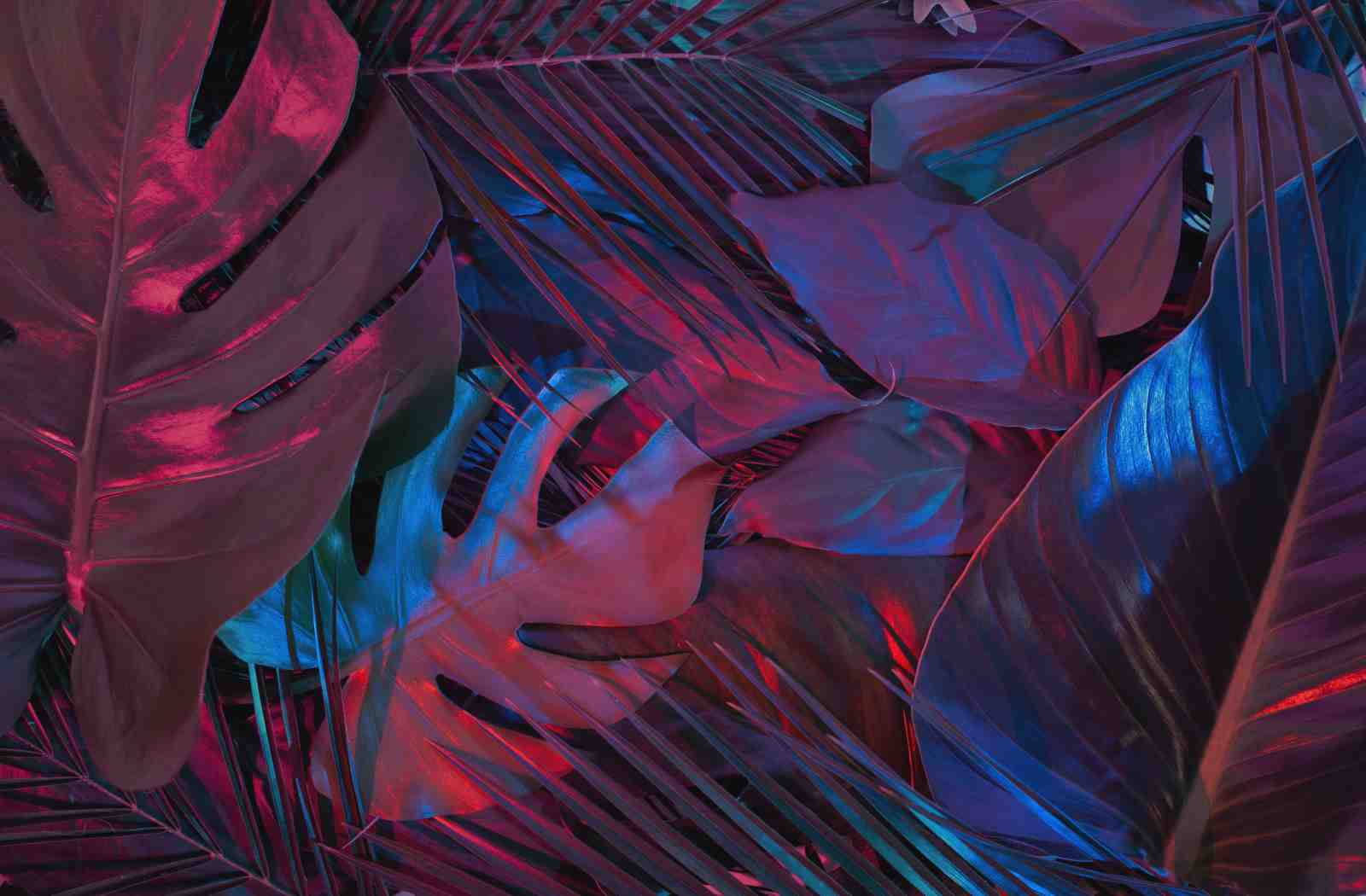 Moody Tropical Leaves Wall Art