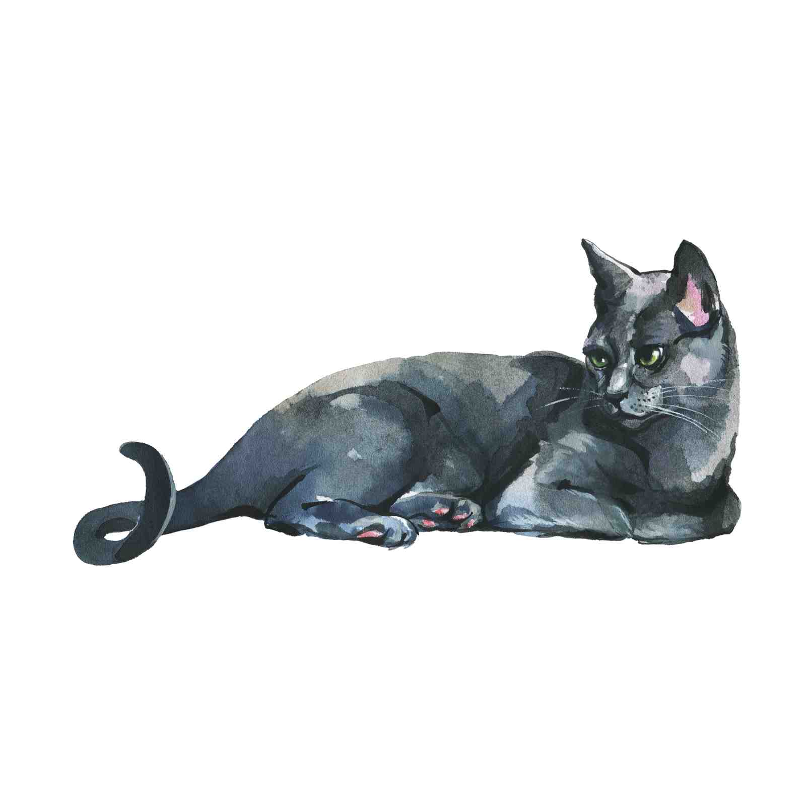 Elegant Gray Cat Watercolor Wall Art