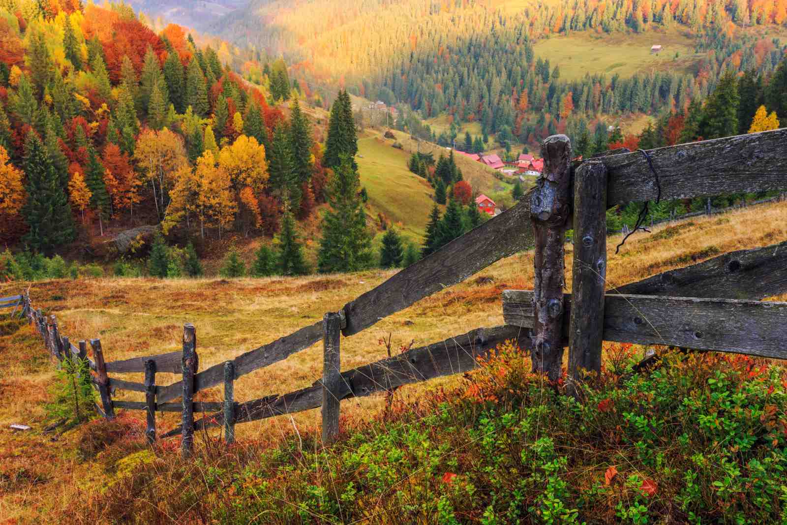 Autumn Mountain Scenery Fence Wall Art