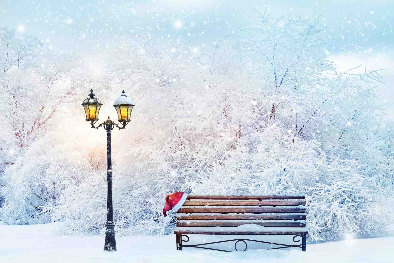 Enchanting Winter Park Bench Wall Art