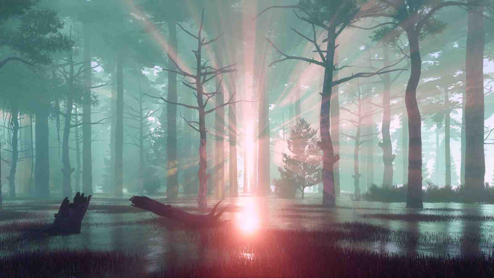Mystical Forest Sunbeam Wall Art