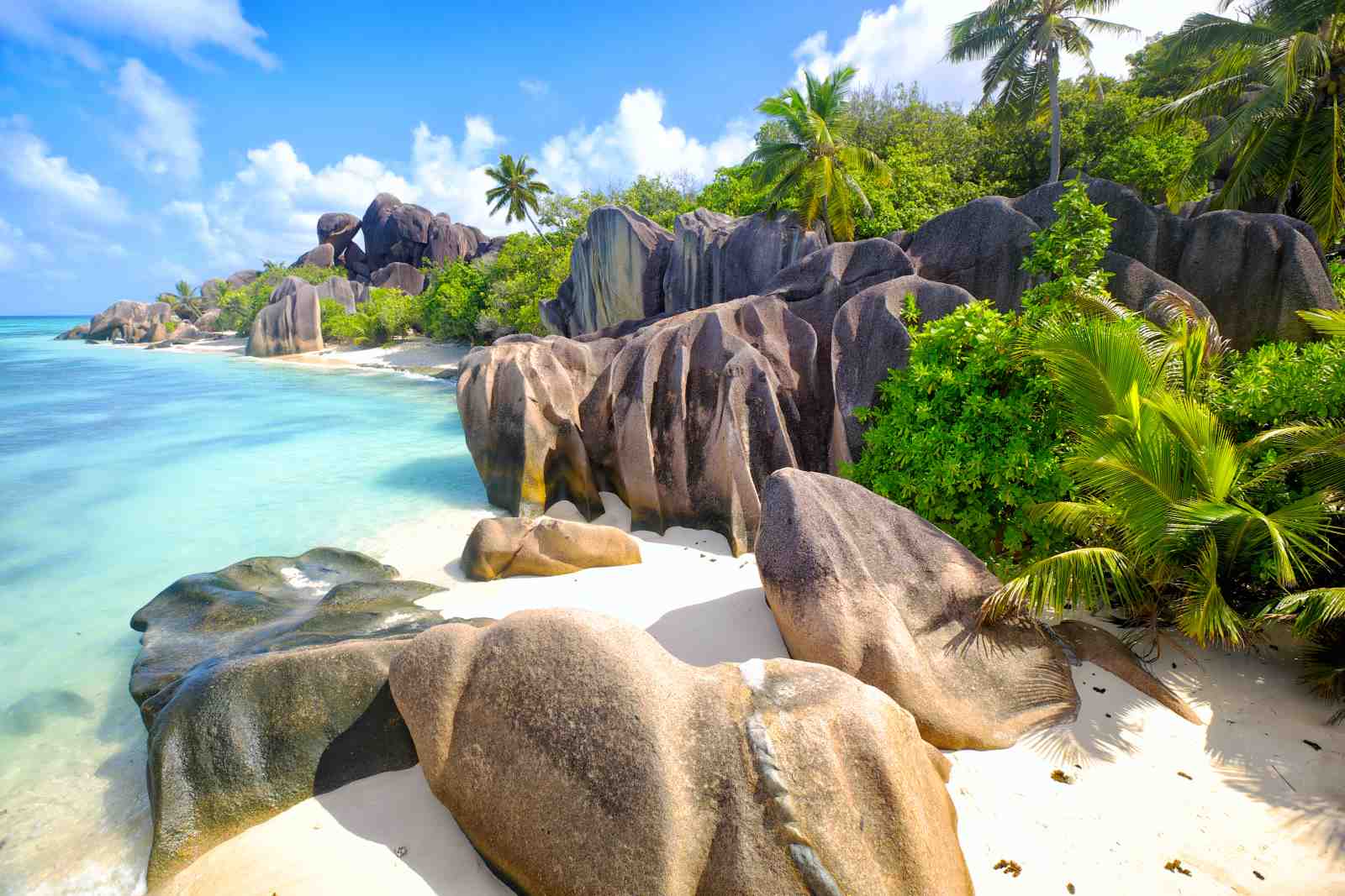 Tropical Paradise Beach Rocks Wall Art