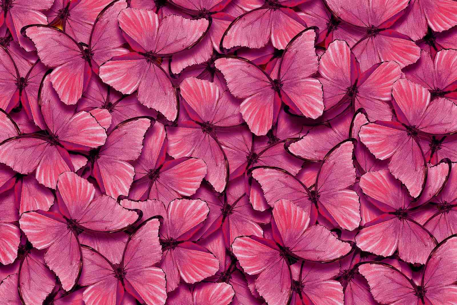 Vibrant Pink Butterfly Swarm Wall Art