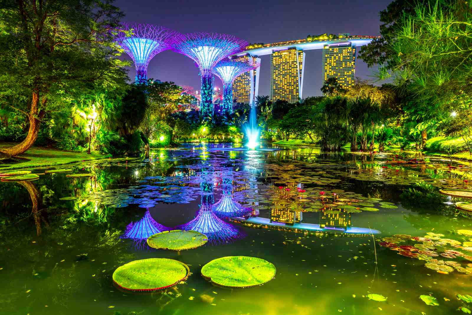 Magical Singapore Gardens by the Bay Wall Art