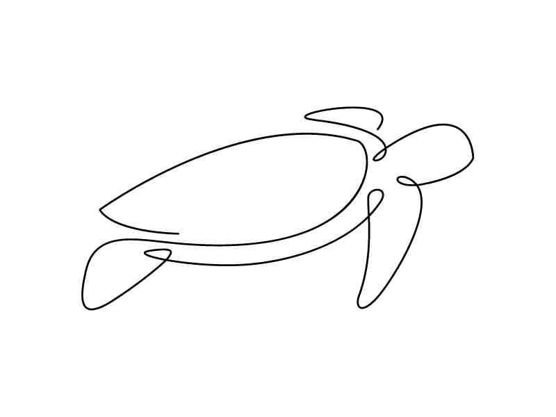 Minimalist Turtle Line Art Wall Art