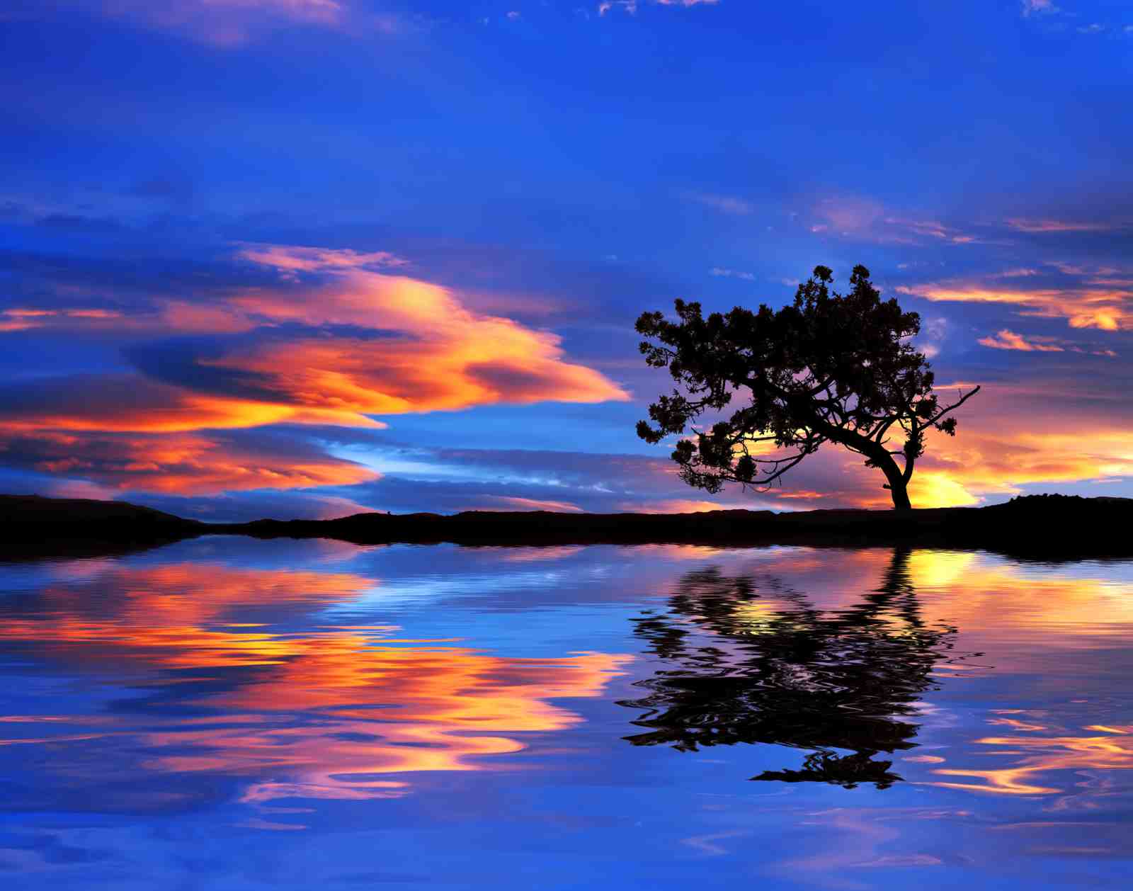 Serene Sunset Tree Reflection Wall Art