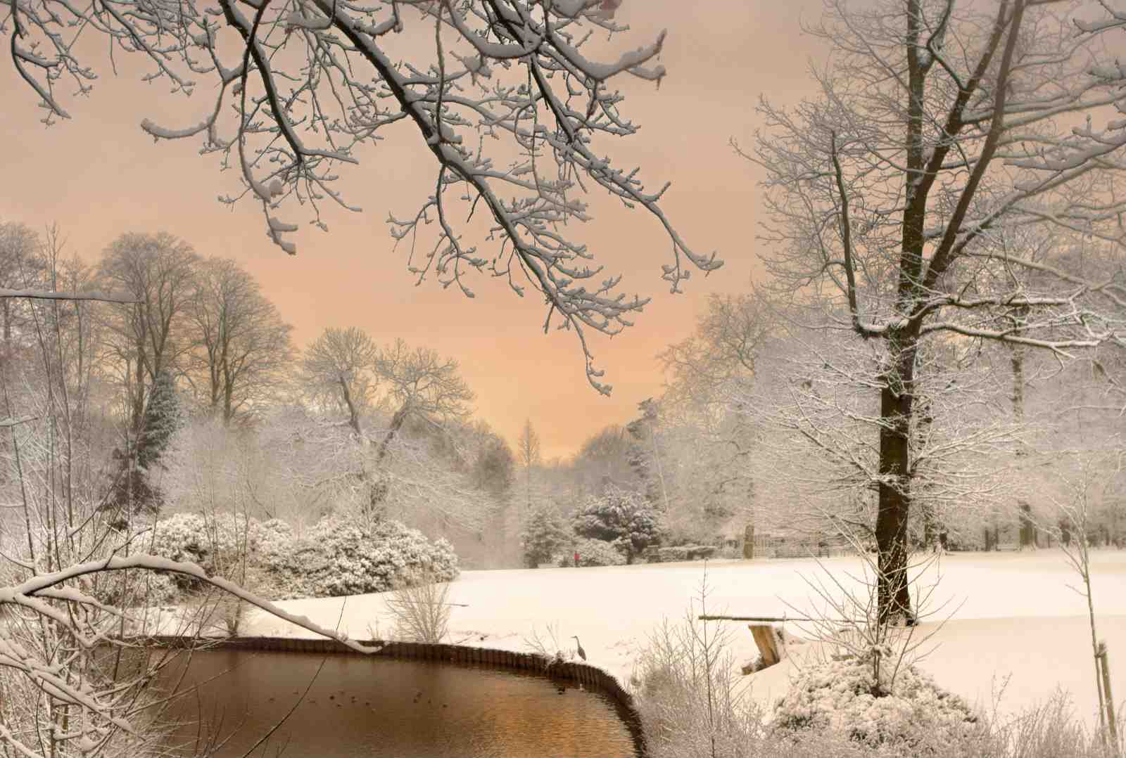 Serene Winter Landscape Pond Wall Art