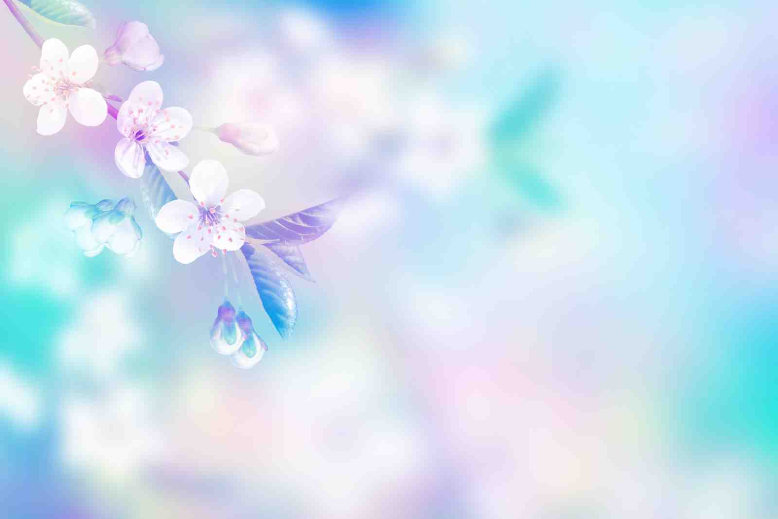 Dreamy Floral Branch Wall Art