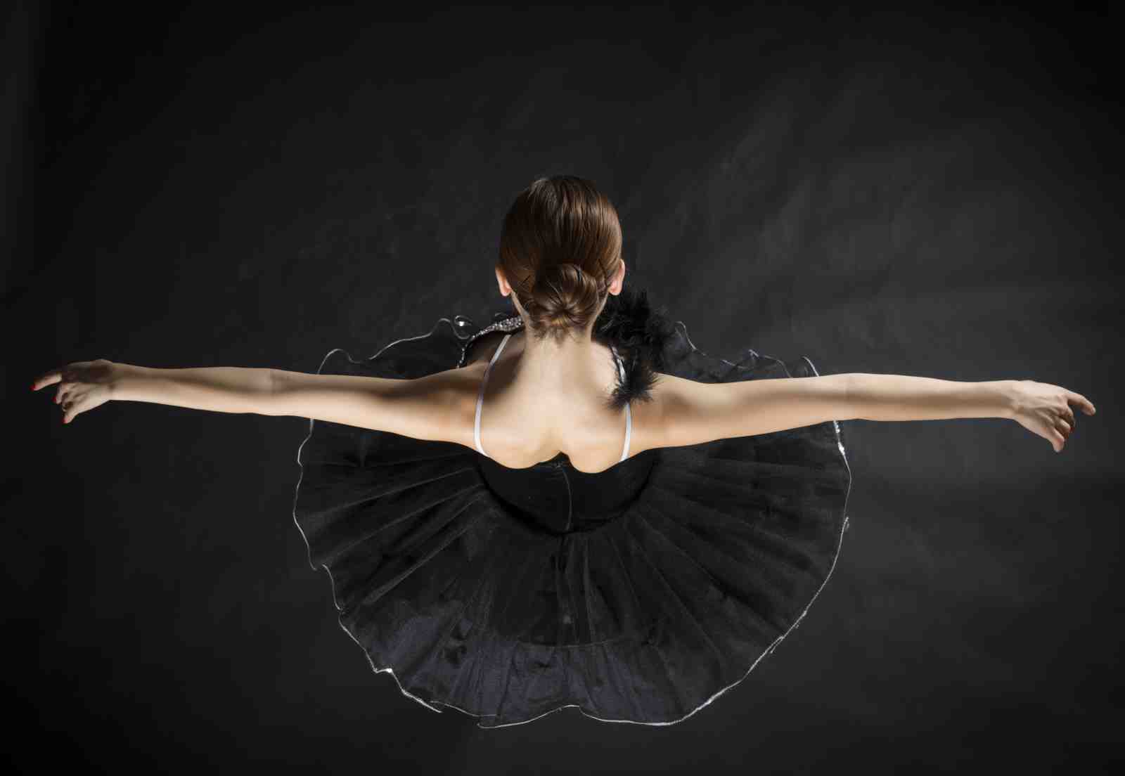 Elegant Black Swan Ballet Dancer Wall Art