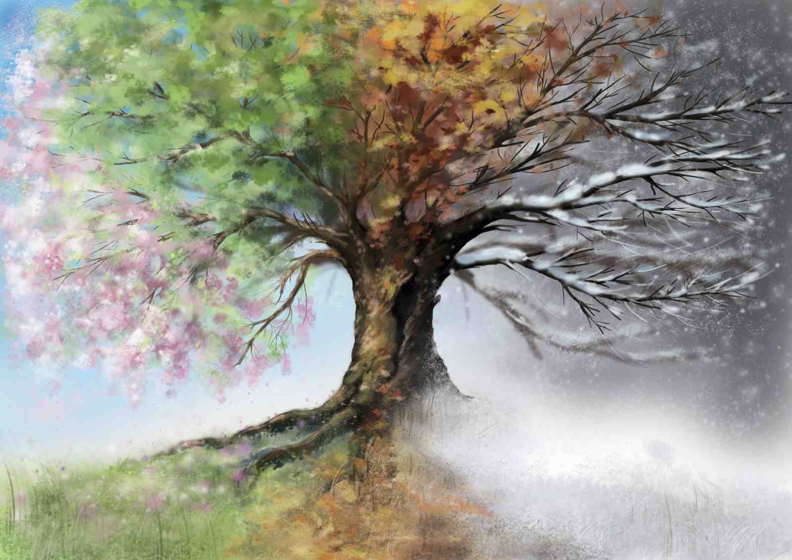 Four Seasons Tree Wall Art