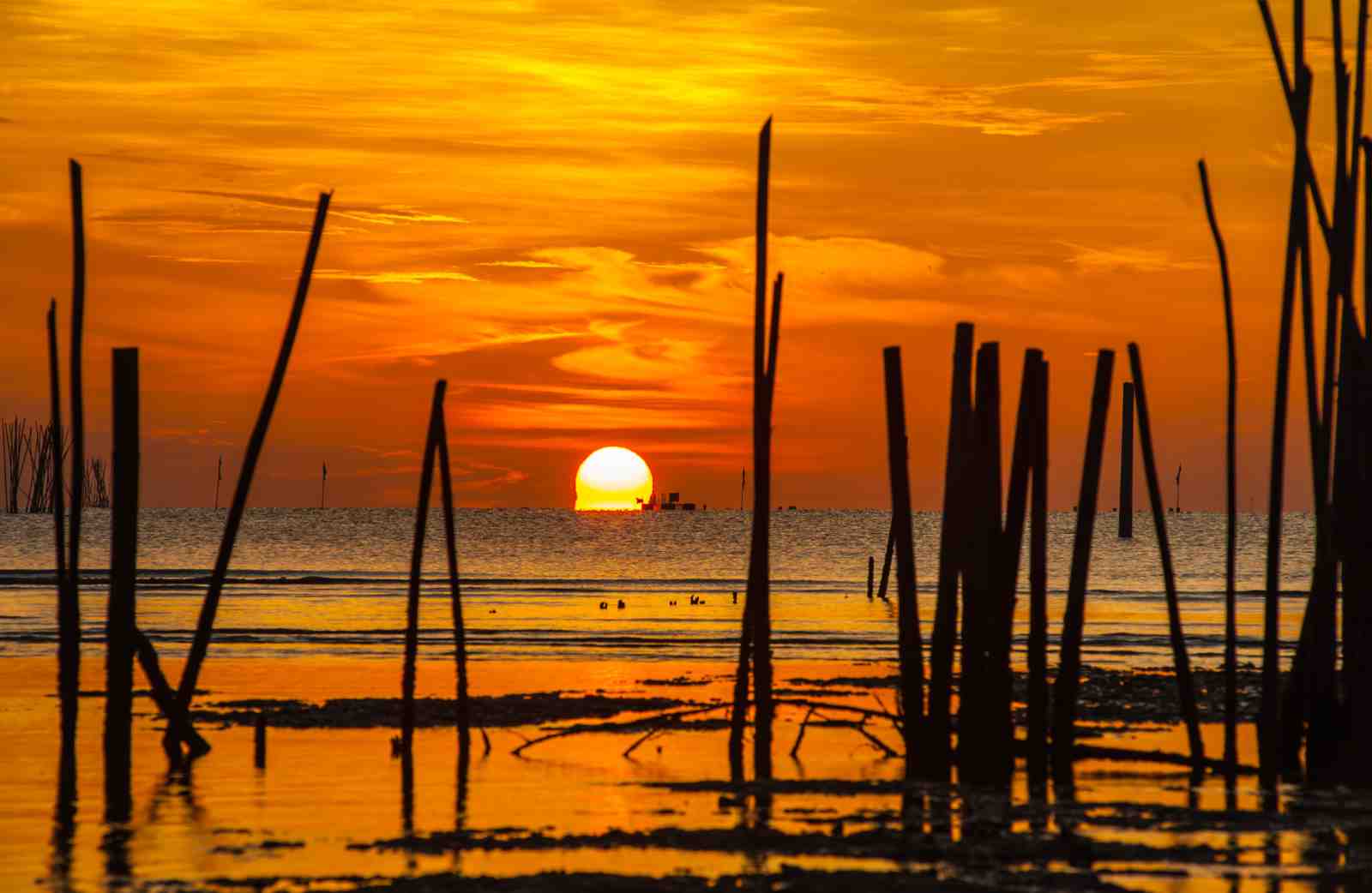 Vibrant Sunset Over Water Wall Art
