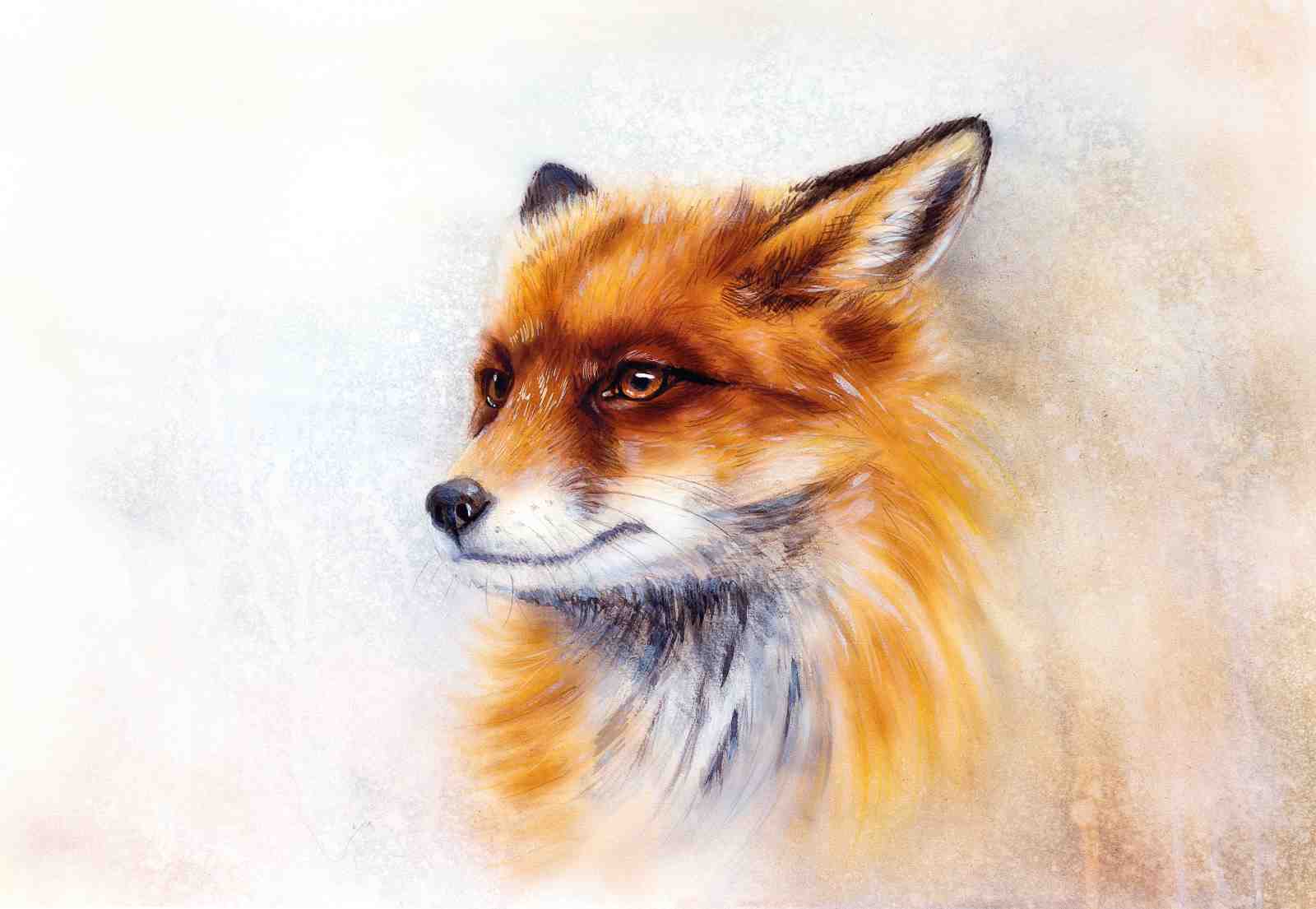 Majestic Fox Portrait Wildlife Art Wall Art