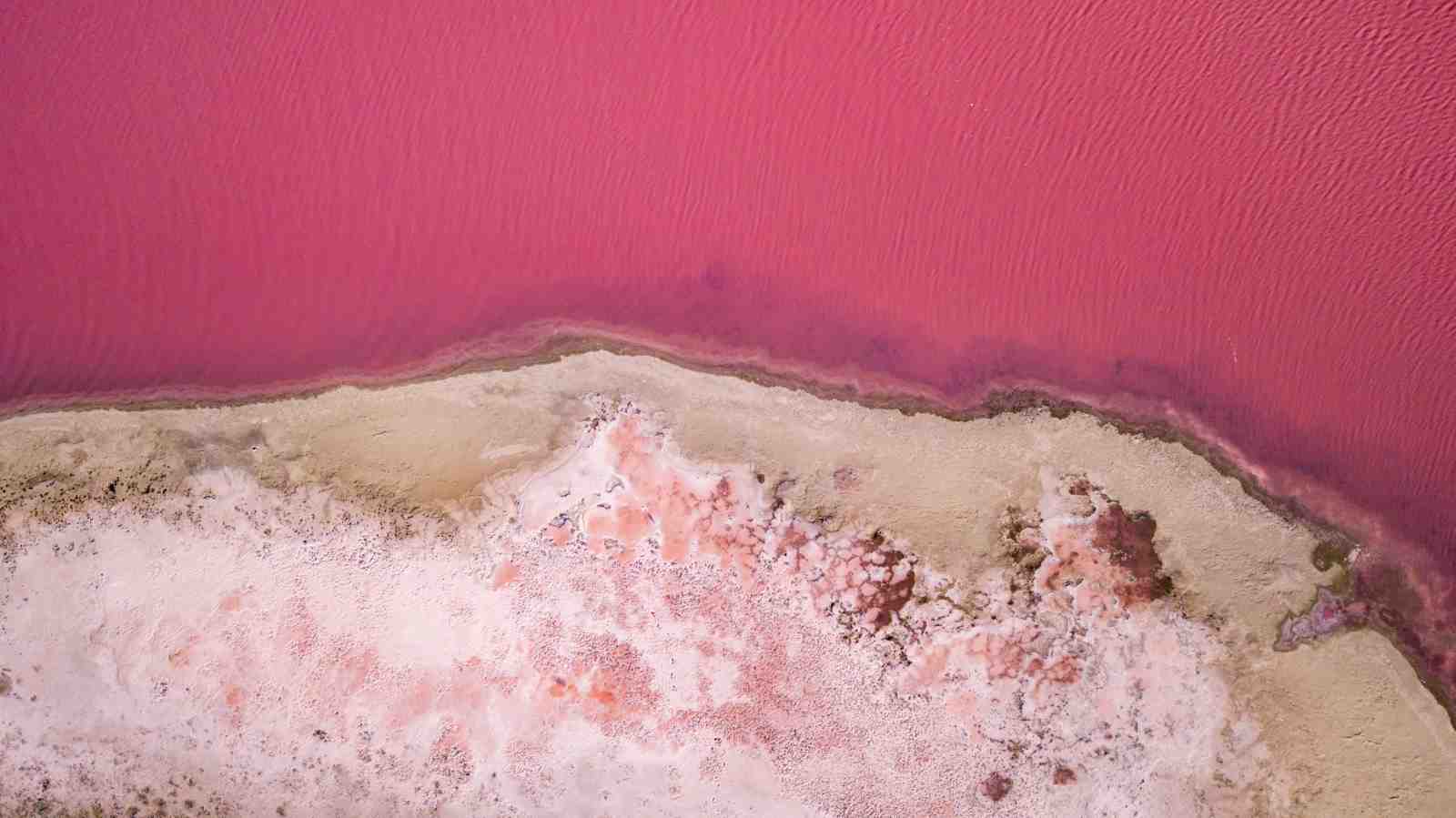 Vibrant Pink Salt Lake Aerial Wall Art