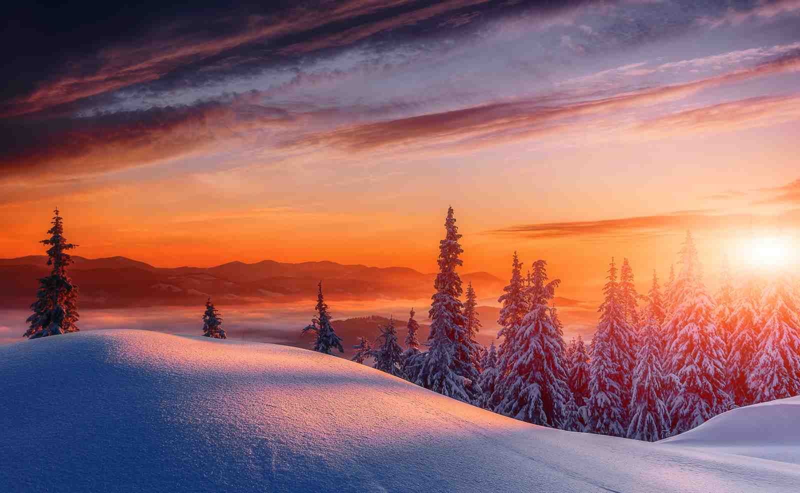 Winter Sunset Mountain Trees Wall Art