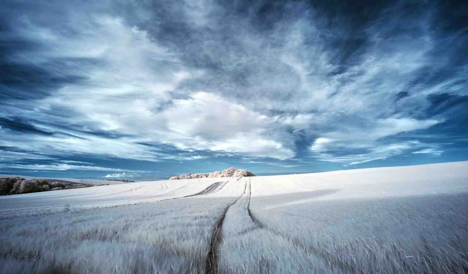 Ethereal Winter Field Landscape Wall Art