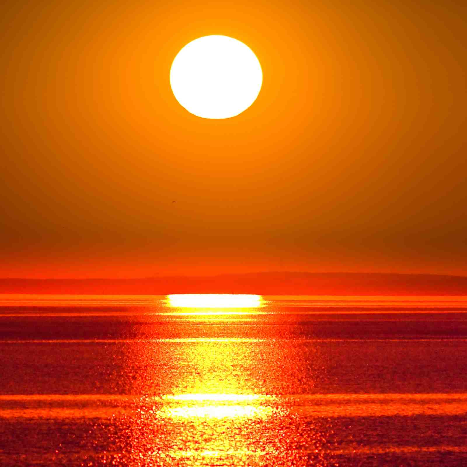 Golden Sunset Ocean Reflection Wall Art