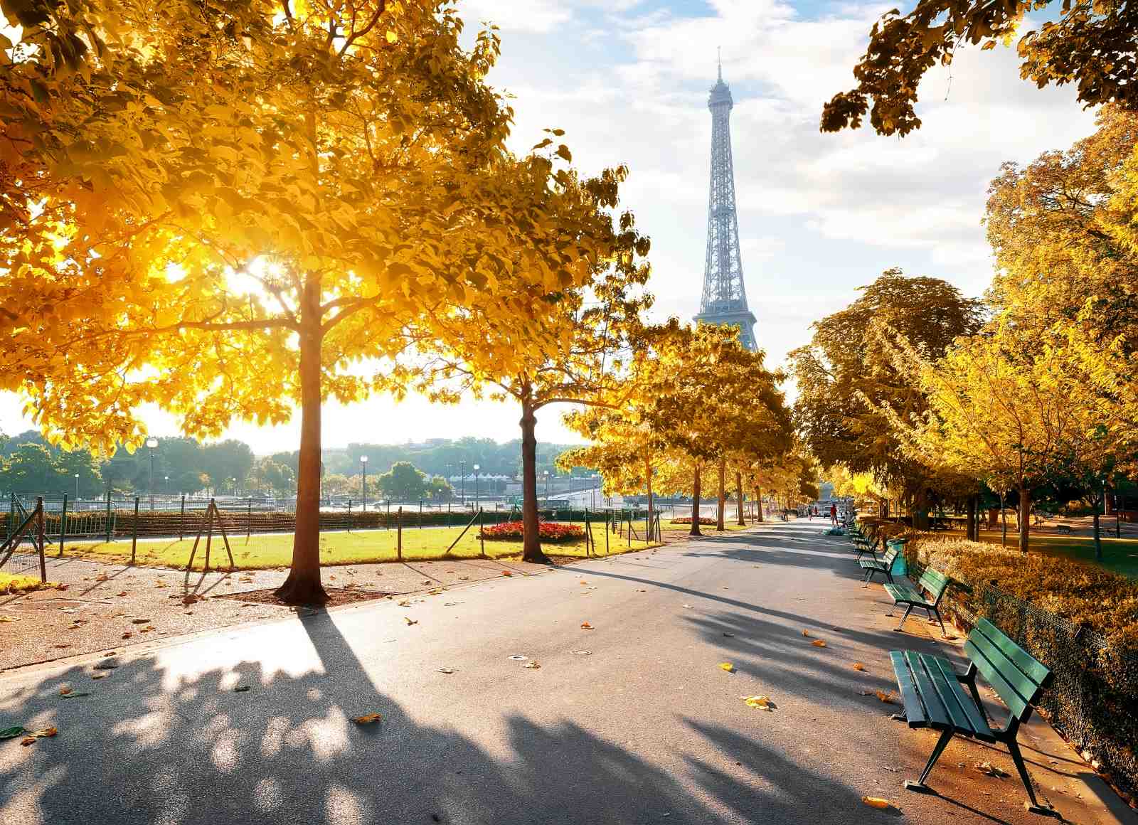 Parisian Autumn Eiffel Tower Wall Art