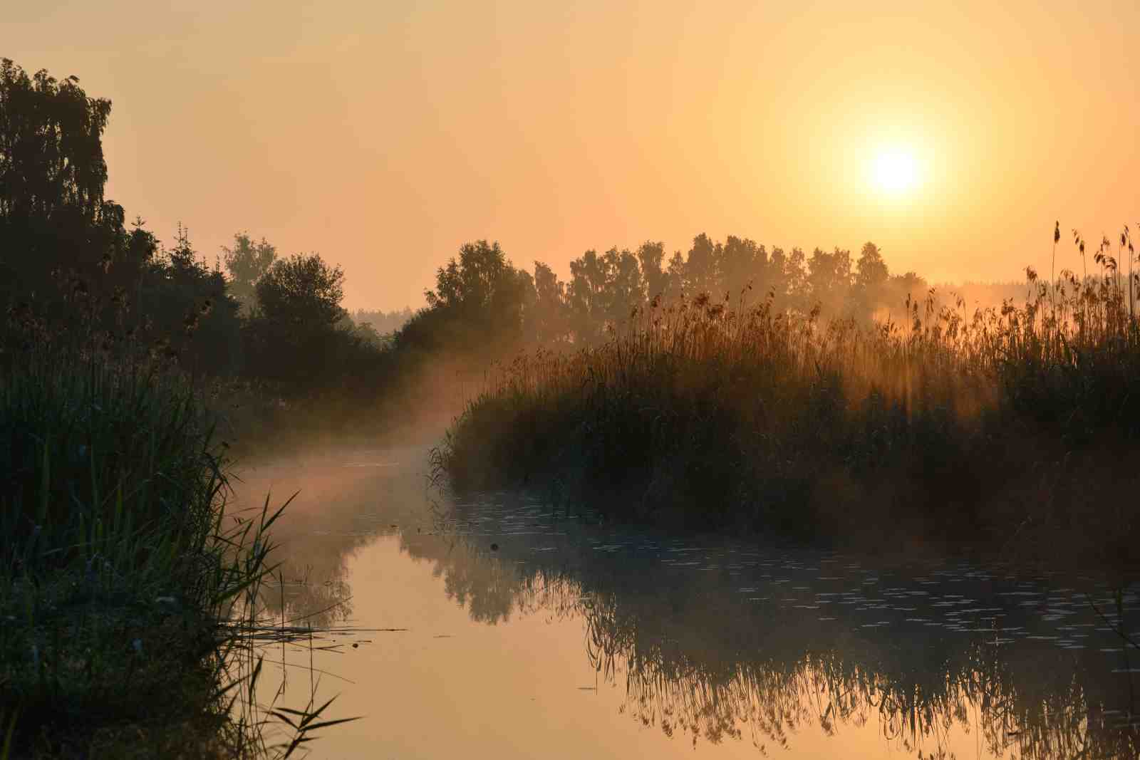 Misty Sunrise River Landscape Wall Art